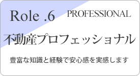 不動産プロフェッショナル